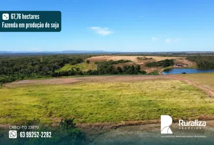 Fazenda/Sítio à venda, 67m² no , Nova Rosalândia