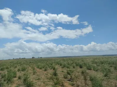 Fazenda/Sítio com 1 Quarto à venda, 5662800m² no , Inhambupe