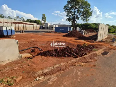 para alugar, 5000m² no Loteamento Empresarial Taiaman, Uberlândia