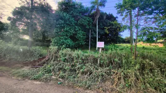 Lote/Terreno à venda, 6000m² no Parque Presidente Vargas, Londrina