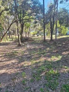 Lote/Terreno à venda, 1271m² no São Virgílio, Caxias do Sul