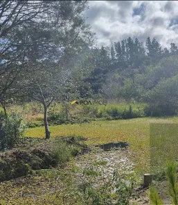 Fazenda/Sítio com 1 Quarto à venda, 5367m² no Santo Onofre, Viamão