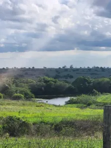 Fazenda/Sítio com 3 Quartos à venda, 500000m² no , Monte Alegre