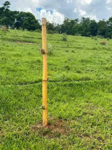 Lote/Terreno à venda, 20025m² no Chácaras do Guacuri, Itupeva