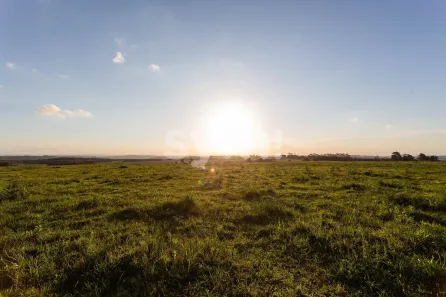 Fazenda/Sítio à venda, 55108m² no São Luiz do Purunã, Balsa Nova