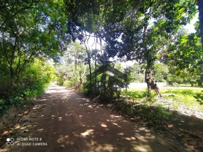 Lote/Terreno à venda, 5000m² no Aldeia dos Camarás, Camaragibe