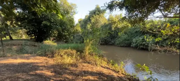 Fazenda/Sítio com 5 Quartos à venda, 2500m² no , Caldazinha