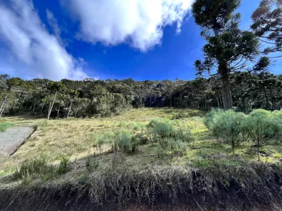 Fazenda/Sítio à venda, 20000m² no , Urubici