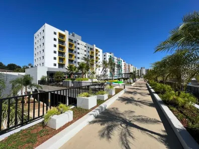 Apartamento com 3 Quartos à venda, 62m² no Contorno, Ponta Grossa