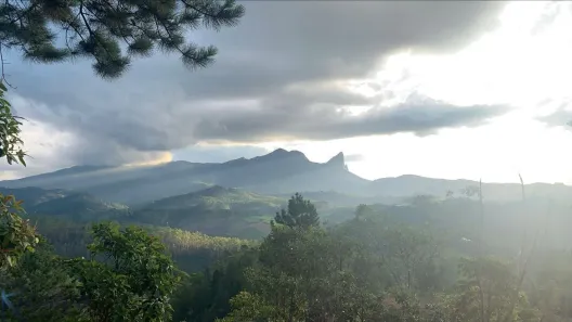 Lote/Terreno à venda, 30000m² no Aracê, Domingos Martins