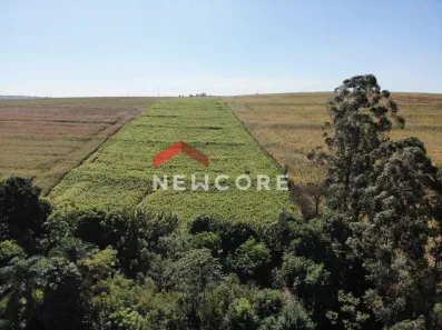 Fazenda/Sítio com 1 Quarto à venda, 60m² no Jardim São Domingos, Maringá