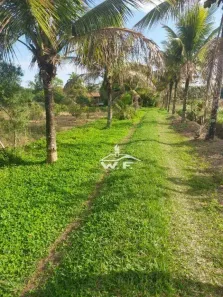 Fazenda/Sítio com 3 Quartos à venda, 226m² no São Dimas, Guaratinguetá