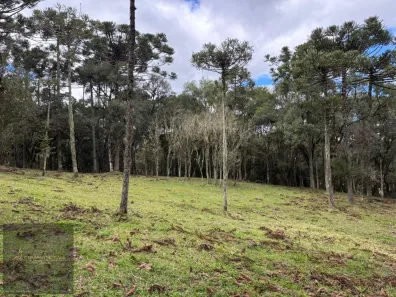 Lote/Terreno à venda, 18000m² no Urubici, Urubici