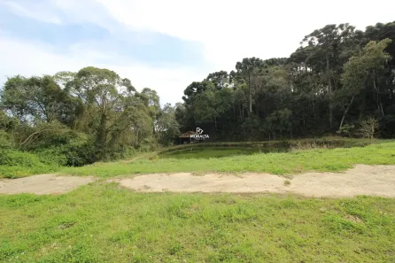 Fazenda/Sítio à venda, 21000m² no Colônia Murici, São José dos Pinhais