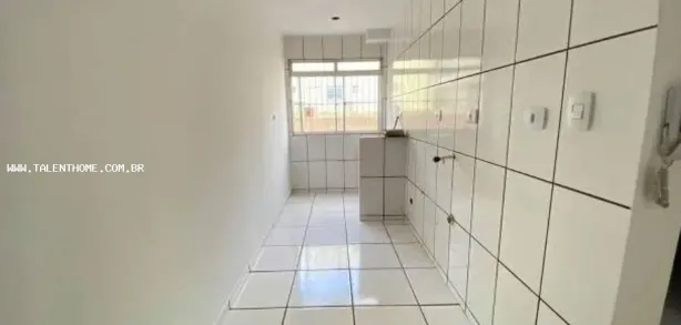 Apartamento com 2 Quartos à venda, 48m² no Jardim Novo Horizonte, Rolândia