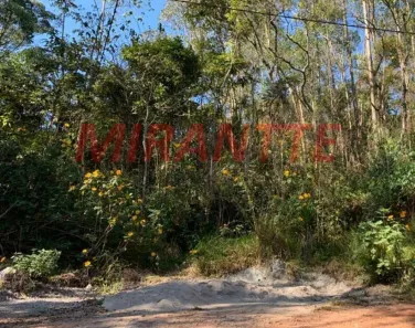 Lote/Terreno à venda, 745m² no Mantiqueira, Mairiporã