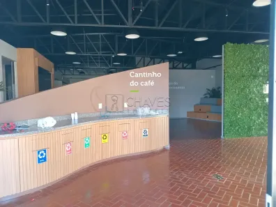Imóvel Comercial com 7 Quartos para alugar, 296m² no Nova Aliança, Ribeirão Preto