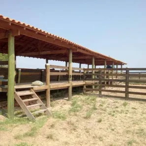 Fazenda/Sítio à venda, 1718200m² no Zona Rural, Porangaba