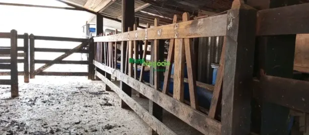 Fazenda/Sítio à venda, 133100m² no Centro, Lorena