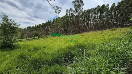 Fazenda/Sítio à venda, 5500m² no Centro, Lorena