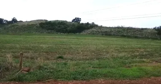 Fazenda/Sítio à venda, 1452000m² no Centro, Apucarana