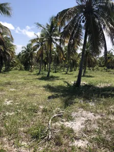 Lote/Terreno à venda, 90000m² no Barra de Cunhaú, Canguaretama