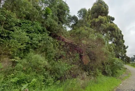 Lote/Terreno à venda, 516m² no Cinqüentenário, Caxias do Sul