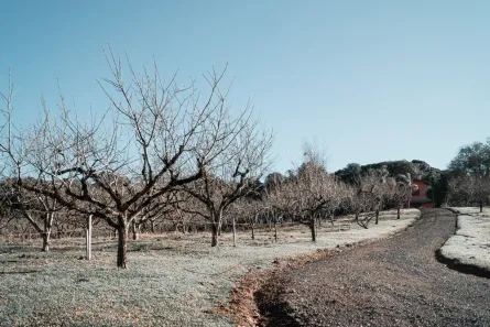 Lote/Terreno à venda, 800m² no Mato Queimado, Gramado