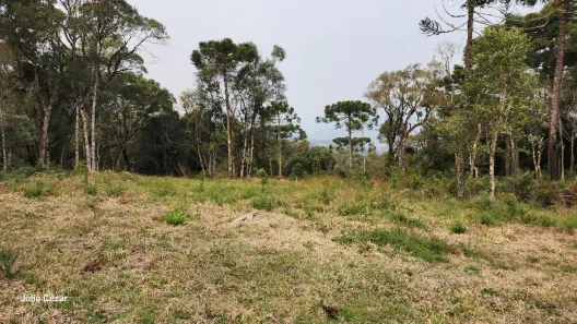 Lote/Terreno à venda, 20000m² no , Urubici