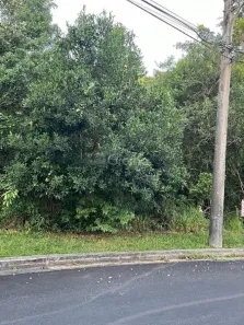 Lote/Terreno à venda, 1675m² no João Paulo, Florianópolis