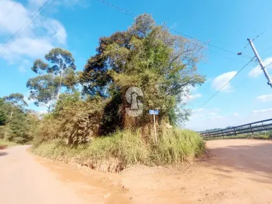Imóvel Comercial à venda, 55000m² no Fazenda São Borja, São Leopoldo
