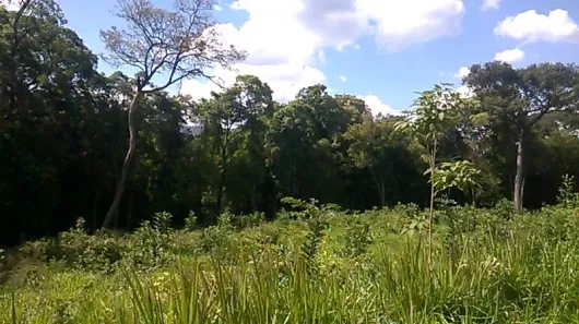 Lote/Terreno à venda, 1205m² no , Brumadinho