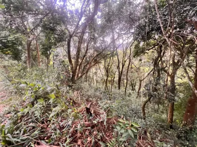 Lote/Terreno à venda, 292m² no Barreiro, Mairiporã