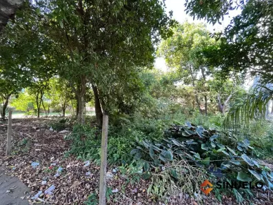 Imóvel Comercial à venda, 726m² no Ideal, Novo Hamburgo