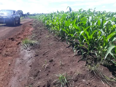 Fazenda/Sítio à venda, 1694000m² no , Ribeirão Cascalheira