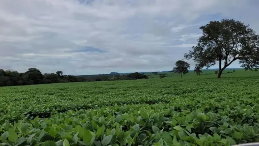 Fazenda/Sítio à venda, 1200m² no Porto Seguro, Porto Seguro