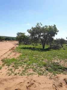 Imóvel Comercial à venda, 371m² no Jardim Mary, Bauru