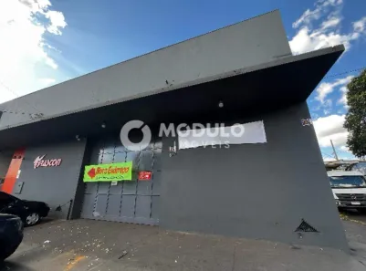 Galpão/Depósito/Armazém para alugar, 330m² no Minas Gerais, Uberlândia