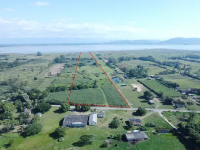 Fazenda/Sítio à venda, 110000m² no , Balneário Gaivota