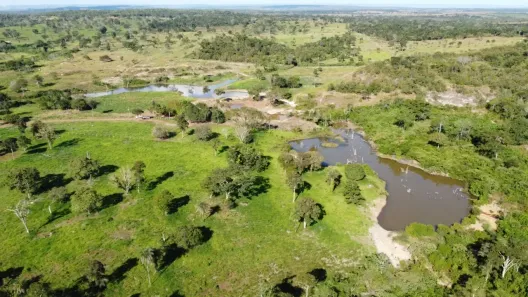 Fazenda/Sítio à venda, 1600000m² no Setor Central, Barrolândia