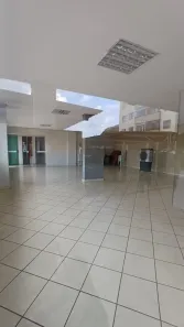 Apartamento com 3 Quartos para alugar, 83m² no Jardim Bela Vista - Continuação, Aparecida de Goiânia