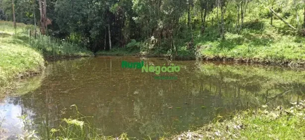 Fazenda/Sítio à venda, 157300m² no Centro, Cunha