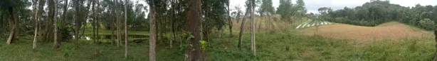Fazenda/Sítio à venda, 1m² no , Rancho Queimado