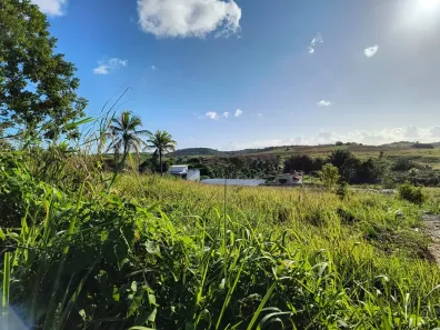 Lote/Terreno à venda, 900m² no Porto de Galinhas, Ipojuca