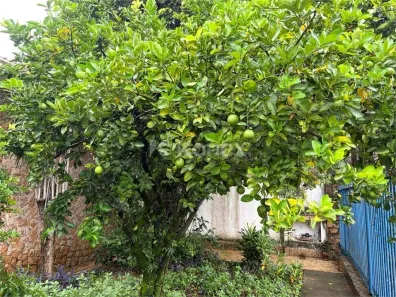 Casa com 3 Quartos à venda, 350m² no Bela Aliança, São Paulo