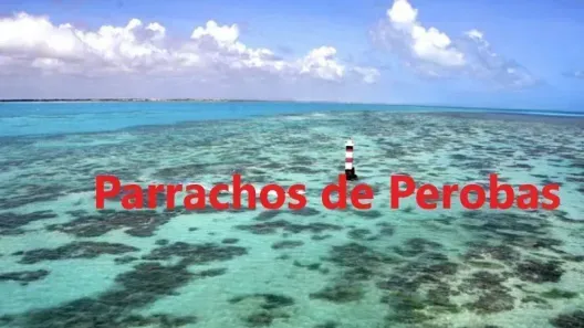 Lote/Terreno à venda, 240000m² no Carnaubinha, Touros