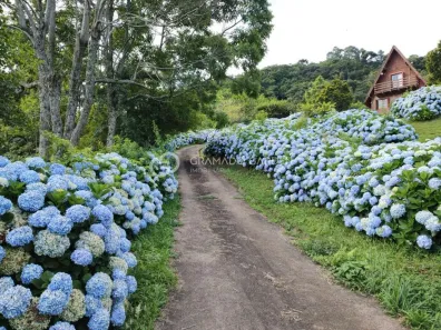 Fazenda/Sítio com 1 Quarto à venda, 119000m² no Carazal, Gramado