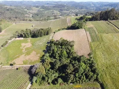 Lote/Terreno à venda, 50000m² no , Bento Gonçalves