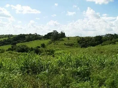 Lote/Terreno à venda, 200000m² no Caguassu, Sorocaba