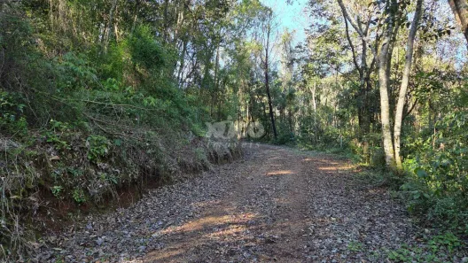Fazenda/Sítio com 1 Quarto à venda, 5000m² no Nova Petrópolis, Nova Petrópolis